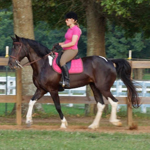 Meet your Posher, Mary beth